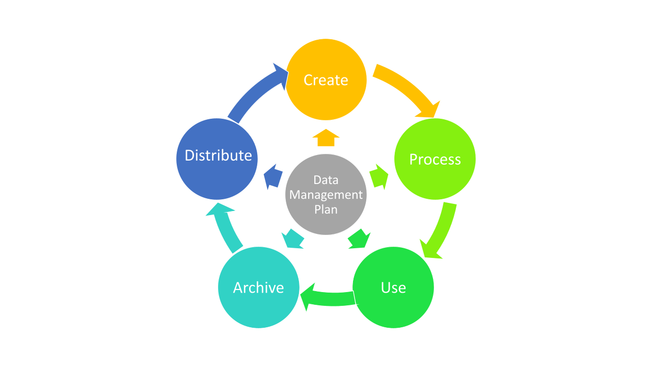 The data management cycle. It is possible to see your data as a cycle between creation and distribution. Your plan should aim to cover each of these steps (redrawn from the British Ecological Society’s guide to Data Management).