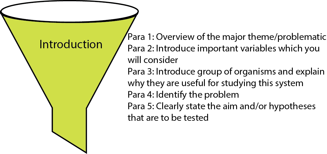 The introduction funnel. My suggestion is to keep to the funnel if you want to make life easier for yourself. Start by writing an outline of where you want your text to go. Then add in the references that are pertinent to each paragraph of the outline. Make sure that there aren’t any paragraphs with a single citation repeated over and again; it’s more likely that there is a lot more relevant information out there.